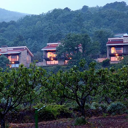 Las Casas De Agapito Пойялес-дель-Ойо Экстерьер фото